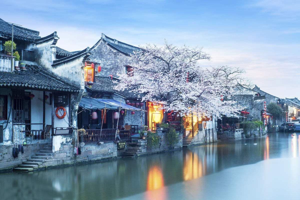 茶花什么时候开花啊？游戏画面